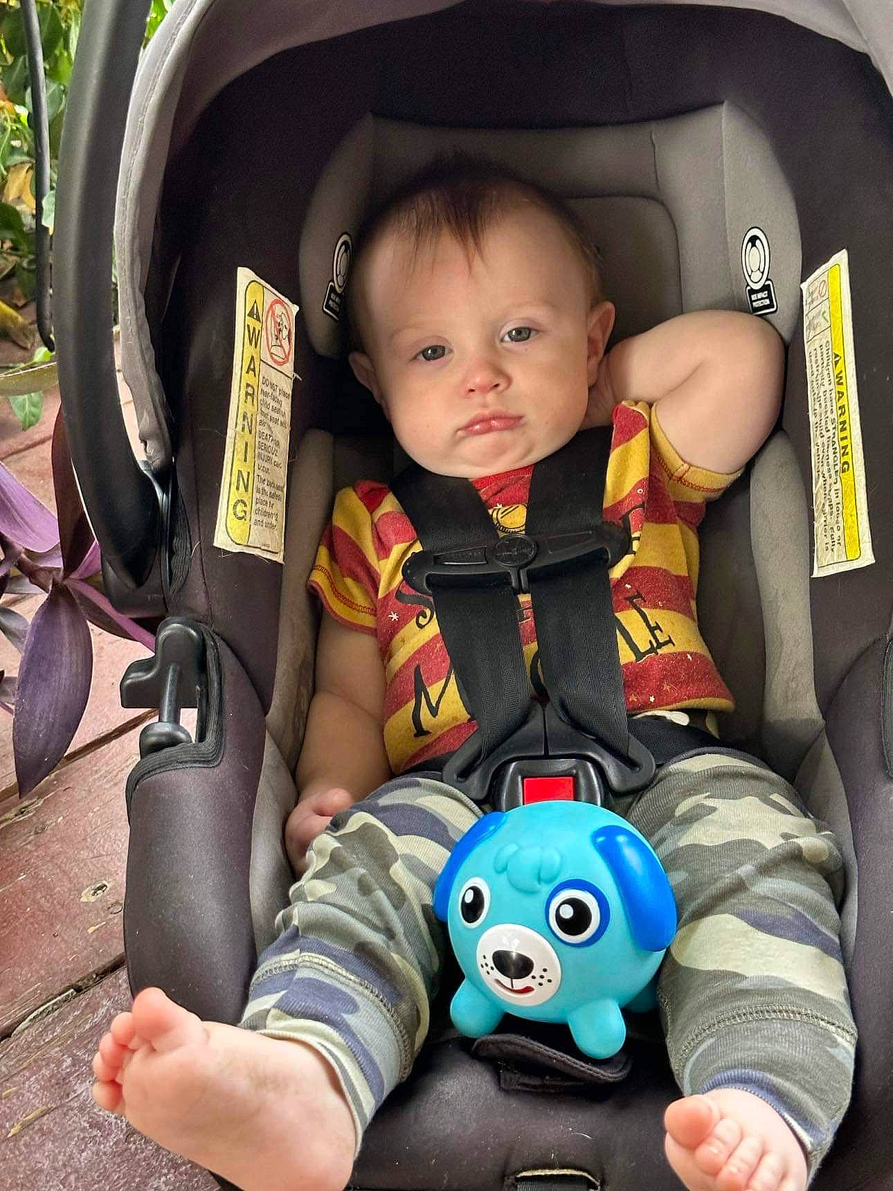 Dallas is registered to the contest to win money with this photo: arm, automotive_design, baby, baby_carriage, baby_in_car_seat, baby_toddler_clothing, car_seat, car_seat_cover, comfort, cool, facial_expression, head, mammal, motor_vehicle, mouth, person, plant, smile, snapshot, toddler