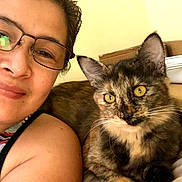 Cotton joined the competition — help win amazing prizes! person, cat, glasses, tortoiseshell_cat, indoor, bed, smile, face, feline, pet, resting, portrait, closeup, cozy, animal, cute, companion, relaxing, home, light