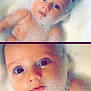 baby, bath, bubbles, foam, water, child, cute, face, skin, expression, closeup, portrait, relaxation, indoor, tub, splash, wet, infant, cleaning, playful