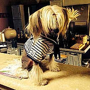 Galliano participe au concours pour gagner de l'argent avec cette photo :