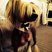 Galliano participe au concours pour gagner de l'argent avec cette photo :