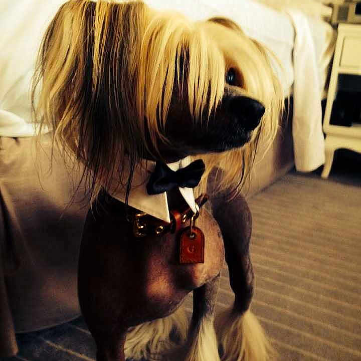 Galliano participe au concours pour gagner de l'argent avec cette photo :