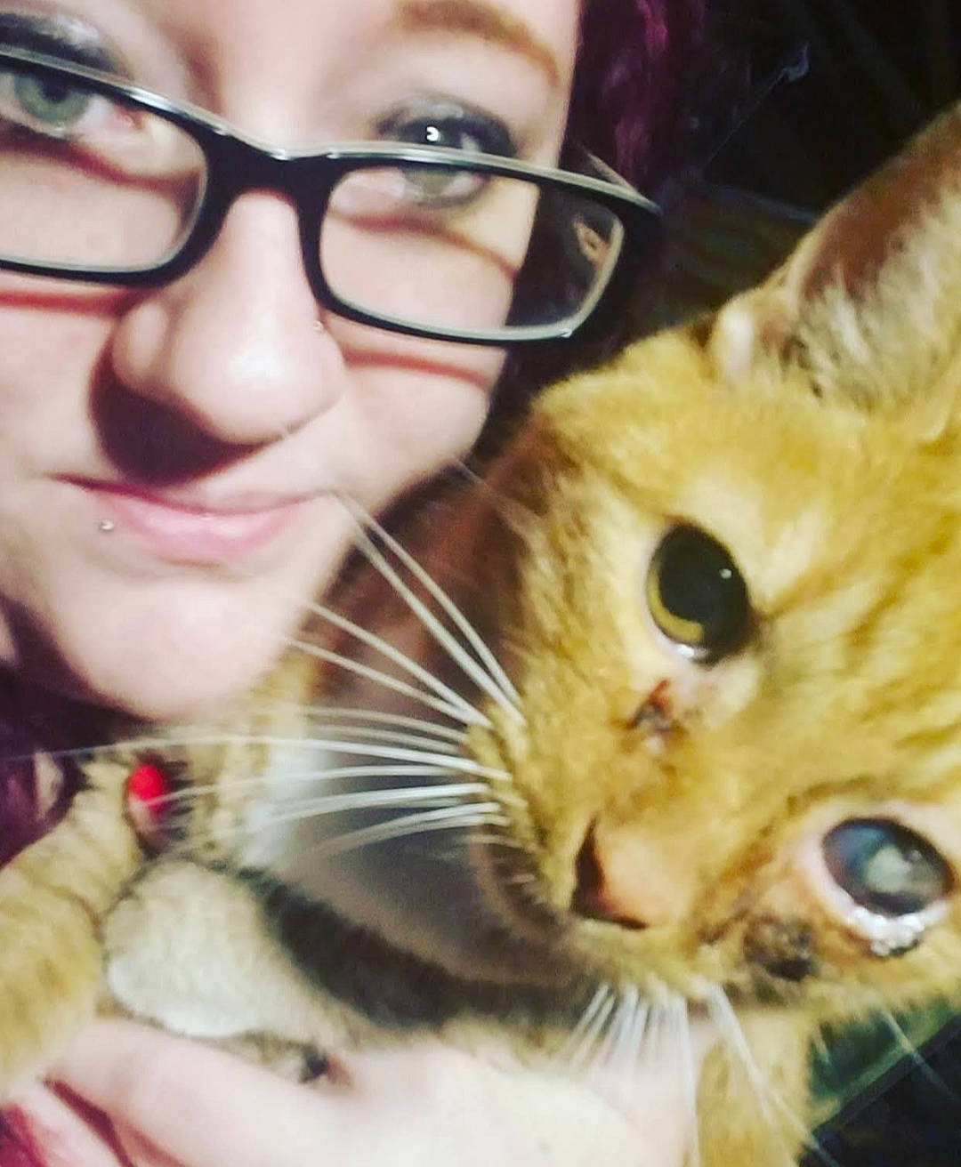 Peter is registered to the contest to win money with this photo: carnivore, cat, cheek, ear, eye, eyebrow, eyewear, fawn, felidae, gesture, glasses, hand, happy, iris, nose, organ, skin, small_to_medium_sized_cats, vision_care, whiskers