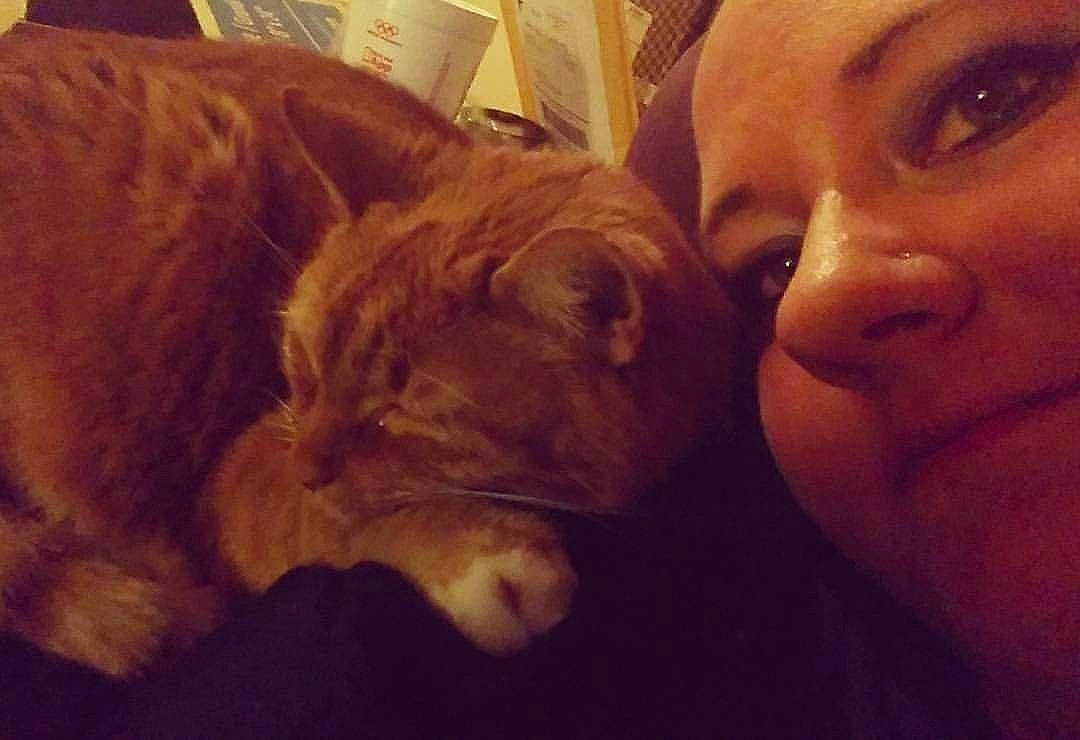 Peter is registered to the contest to win money with this photo: carnivore, cat, cloud, comfort, companion_dog, dog_breed, ear, eye, eyelash, fawn, felidae, gesture, happy, jaw, mouth, nose, selfie, small_to_medium_sized_cats, snout, whiskers