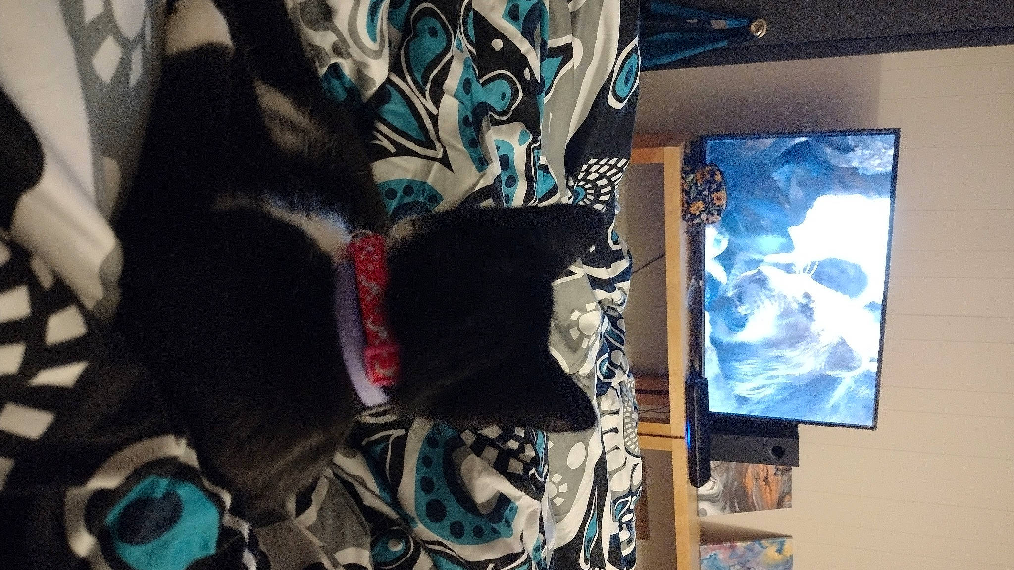 Panda joined the competition — help win amazing prizes! anime, art, blue, carmine, cg_artwork, computer_hardware, computer_monitor, display_device, electric_blue, electronic_device, fictional_character, flat_panel_display, illustration, led_backlit_lcd_display, personal_protective_equipment, room, sports_gear, television, television_set, visual_arts