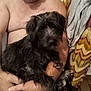 man, dog, indoor, shirtless, holding, pet, furniture, blanket, patterned, arm, hand, floor, tile, goatee, close_up, seated, domestic, animal, companion, casual
