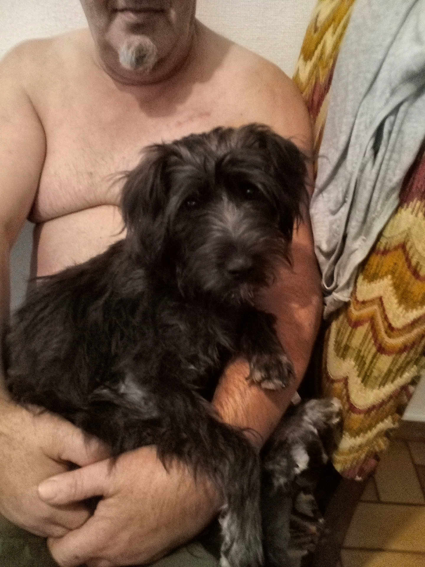 Maya