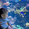 Enzo is registered to the contest to win money with this photo: aquarium, aquatic, baby, blue_tang, child, colorful, coral_reef, curious, fish, glass, gray_shirt, indoors, marine_life, portrait, profile, reef, sea_life, sitting, smiling, underwater