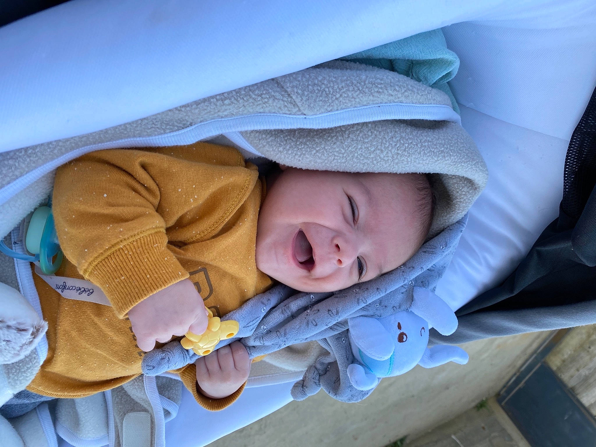 Célestin a rejoint le concours — aidez-le/la à gagner de superbes lots ! baby, baby_products, baby_safety, baby_toddler_clothing, beauty, child, comfort, linens, person, product, sleeve, smile, toddler, tree, window, wood