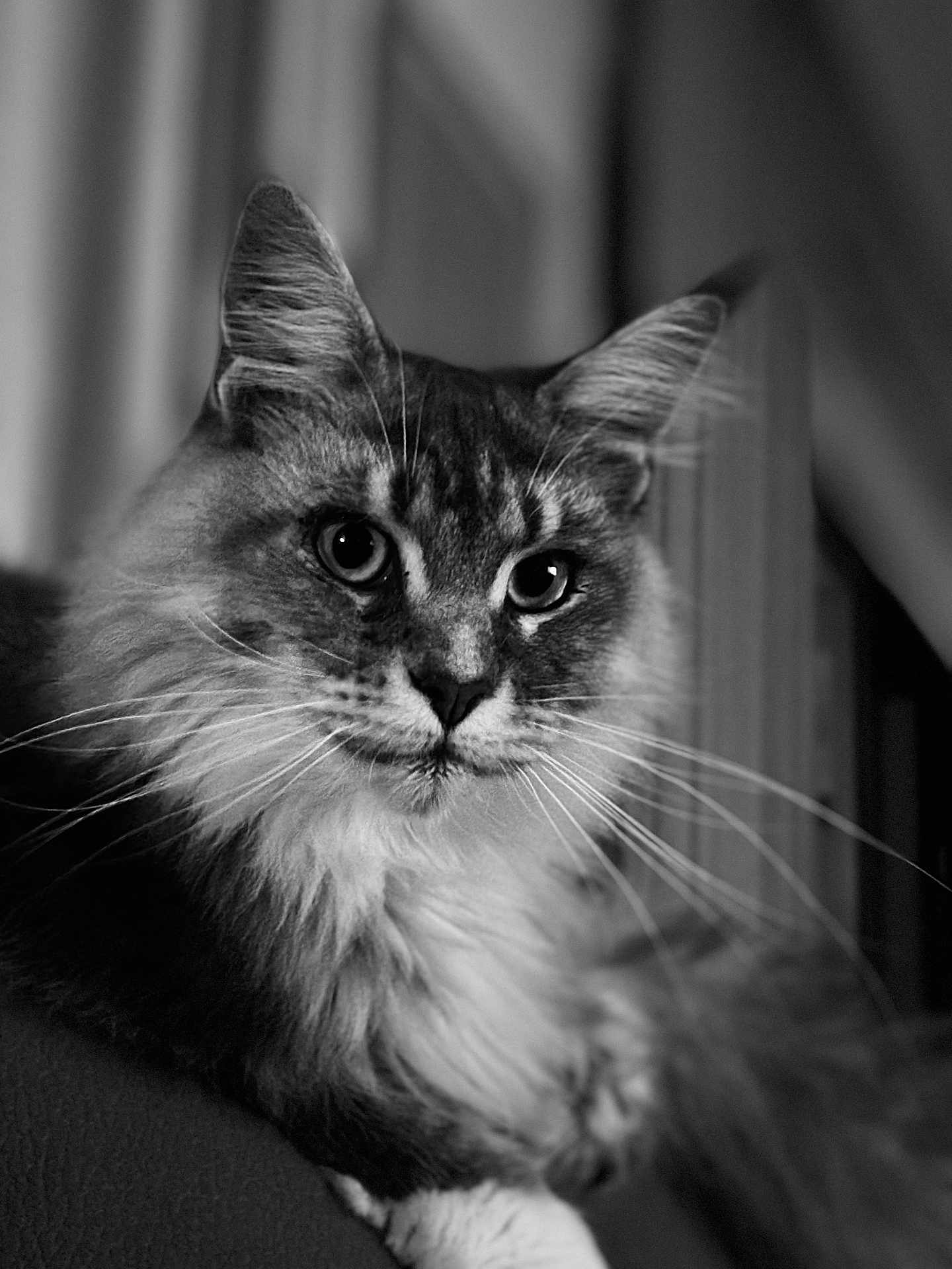 Kira