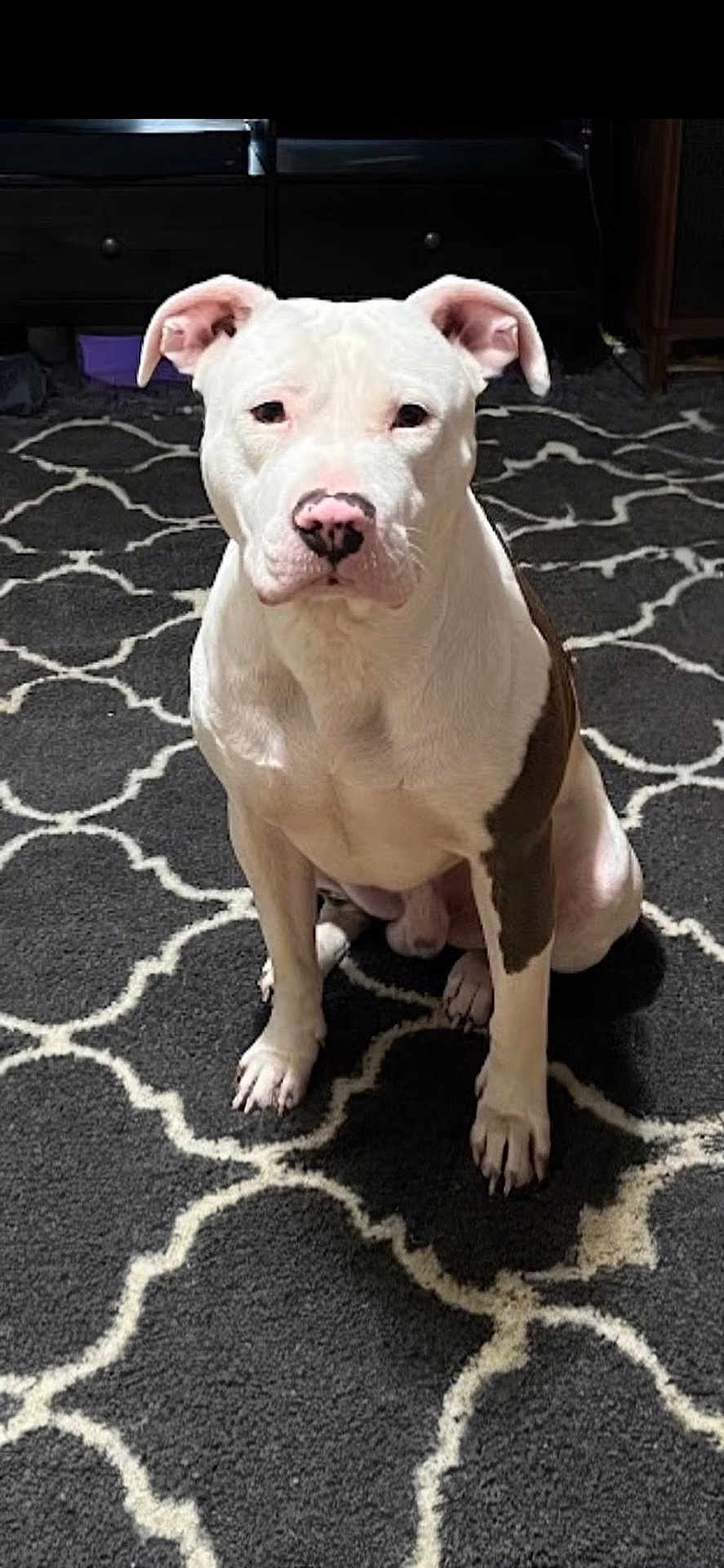 Tank