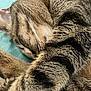 animal, cat, close_up, cozy, curled_up, cute, domestic_cat, feline, fur, indoor, mammal, nap, peaceful, pet, relaxed, resting, sleeping, soft_surface, tabby_cat, whiskers