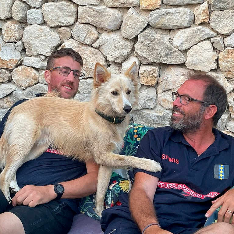 Ulk participe au concours pour gagner de l'argent avec cette photo : adult, animal, architecture, building, canine, couch, dog, face, furniture, head, male, man, person, pet, photography, portrait, rock, slate, stonewall, wall