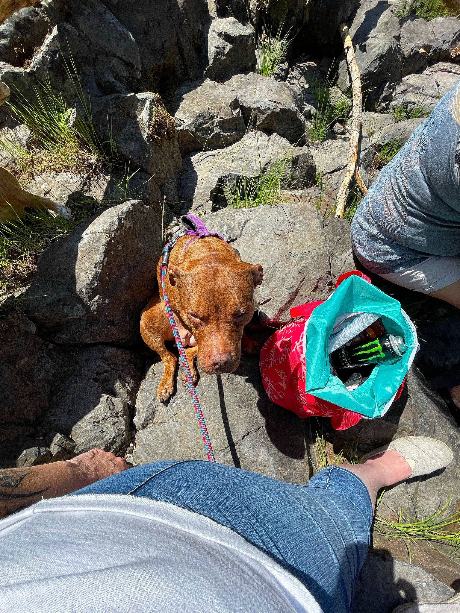 Jewel joined the competition — help win amazing prizes! adventure, backpack, bag, bedrock, fun, geology, grass, landscape, leisure, luggage_and_bags, organism, people_in_nature, plant, recreation, rock, sitting, soil, sun_tanning, toy, wilderness