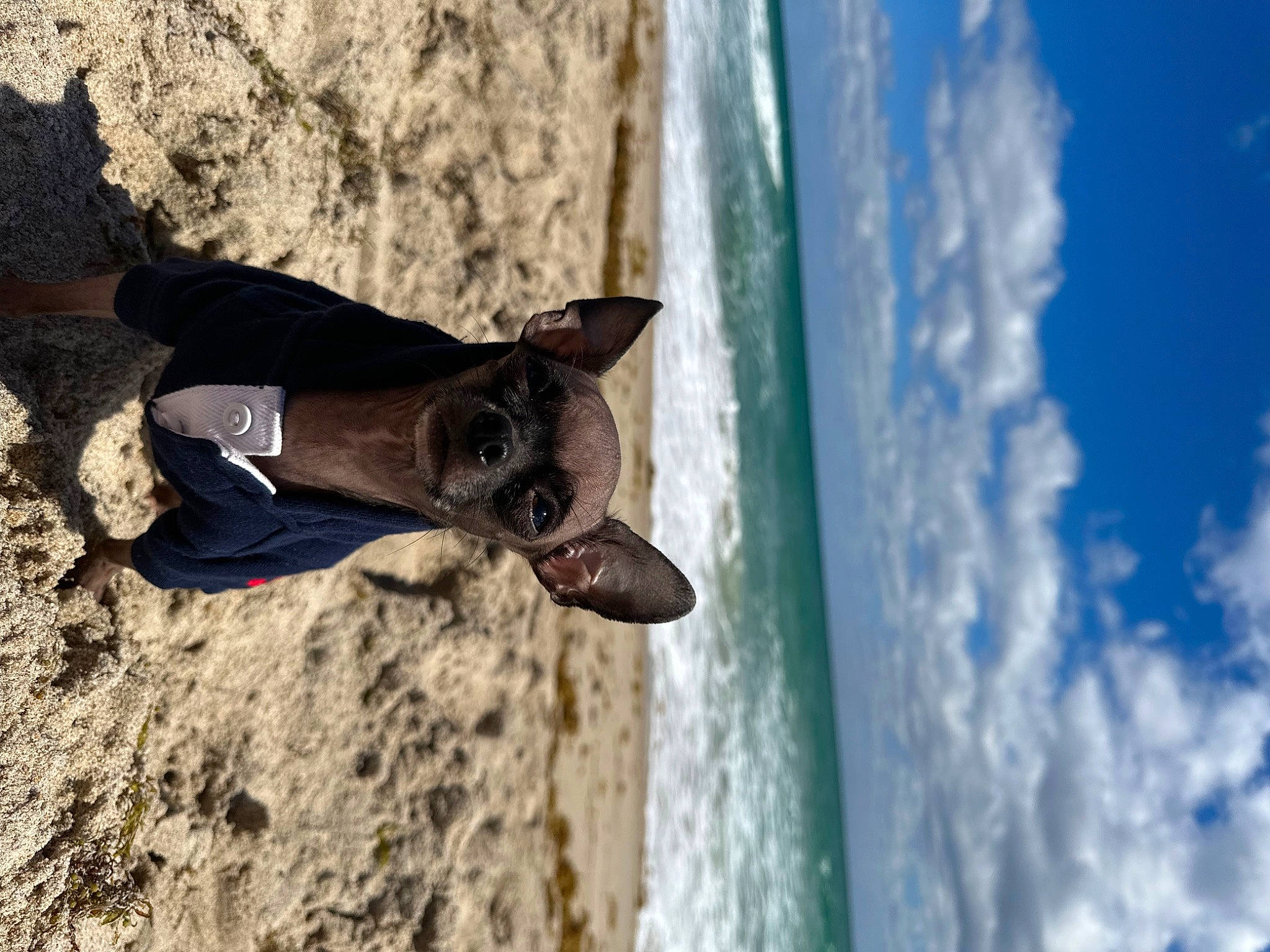 Kilo joined the competition — help win amazing prizes! adventure, azure, beach, cloud, dress, electric_blue, fun, landscape, leg, leisure, ocean, recreation, rock, rope, sky, sport_climbing, travel, tree, water, wood