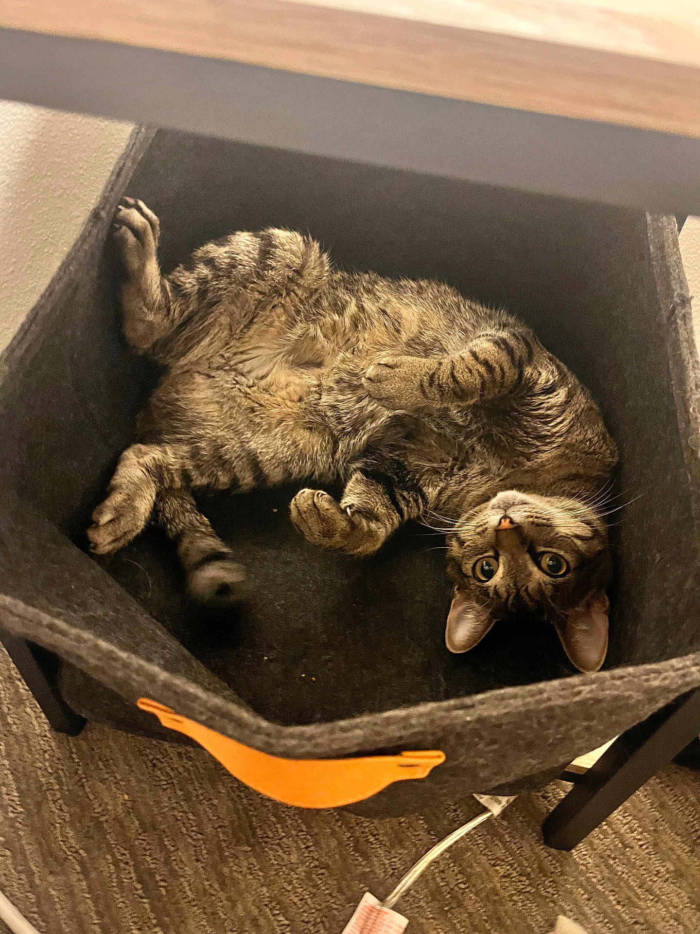Stanley