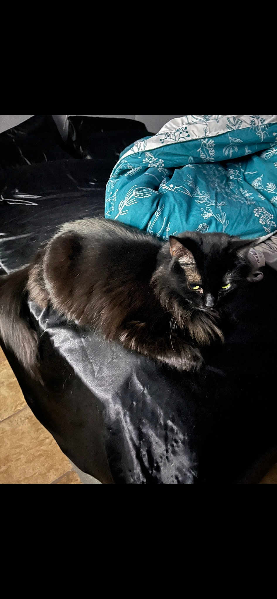 Onyx