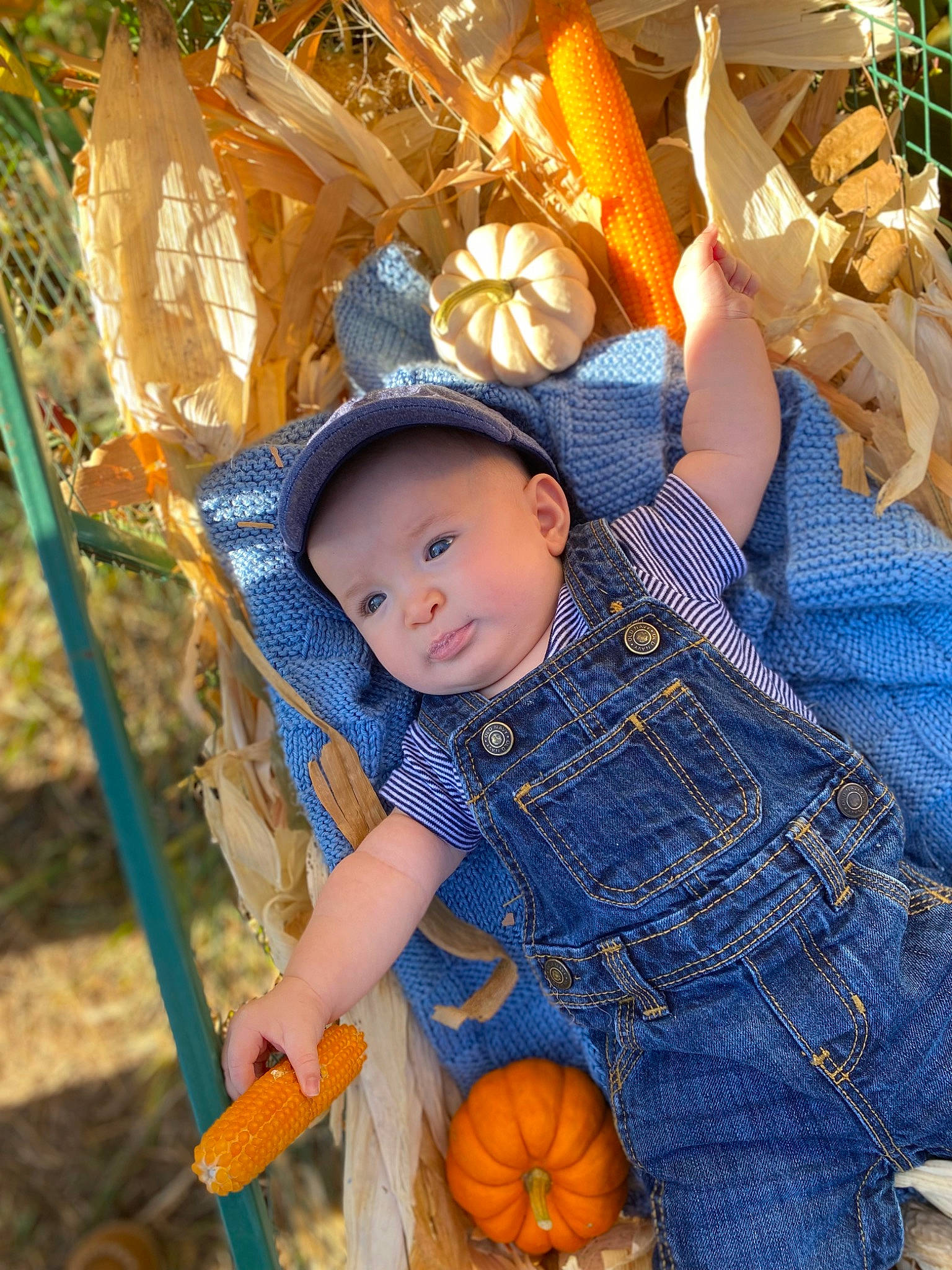 Calum is registered to the contest to win money with this photo: calabaza, child, cucurbita, electric_blue, fun, happy, hat, headwear, human_body, leisure, orange, organ, people, person, plant, product, pumpkin, recreation, sun_hat, toddler