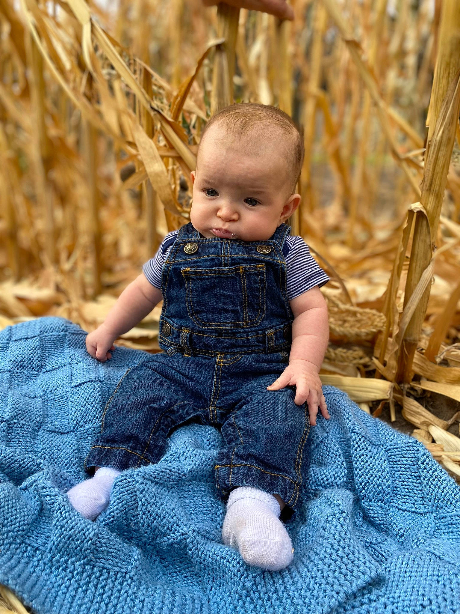Calum joined the competition — help win amazing prizes! baby, baby_toddler_clothing, barefoot, child, denim, electric_blue, foot, grass, leg, leisure, pattern, people_in_nature, person, plant, sitting, skin, sleeve, toddler, toy, tree