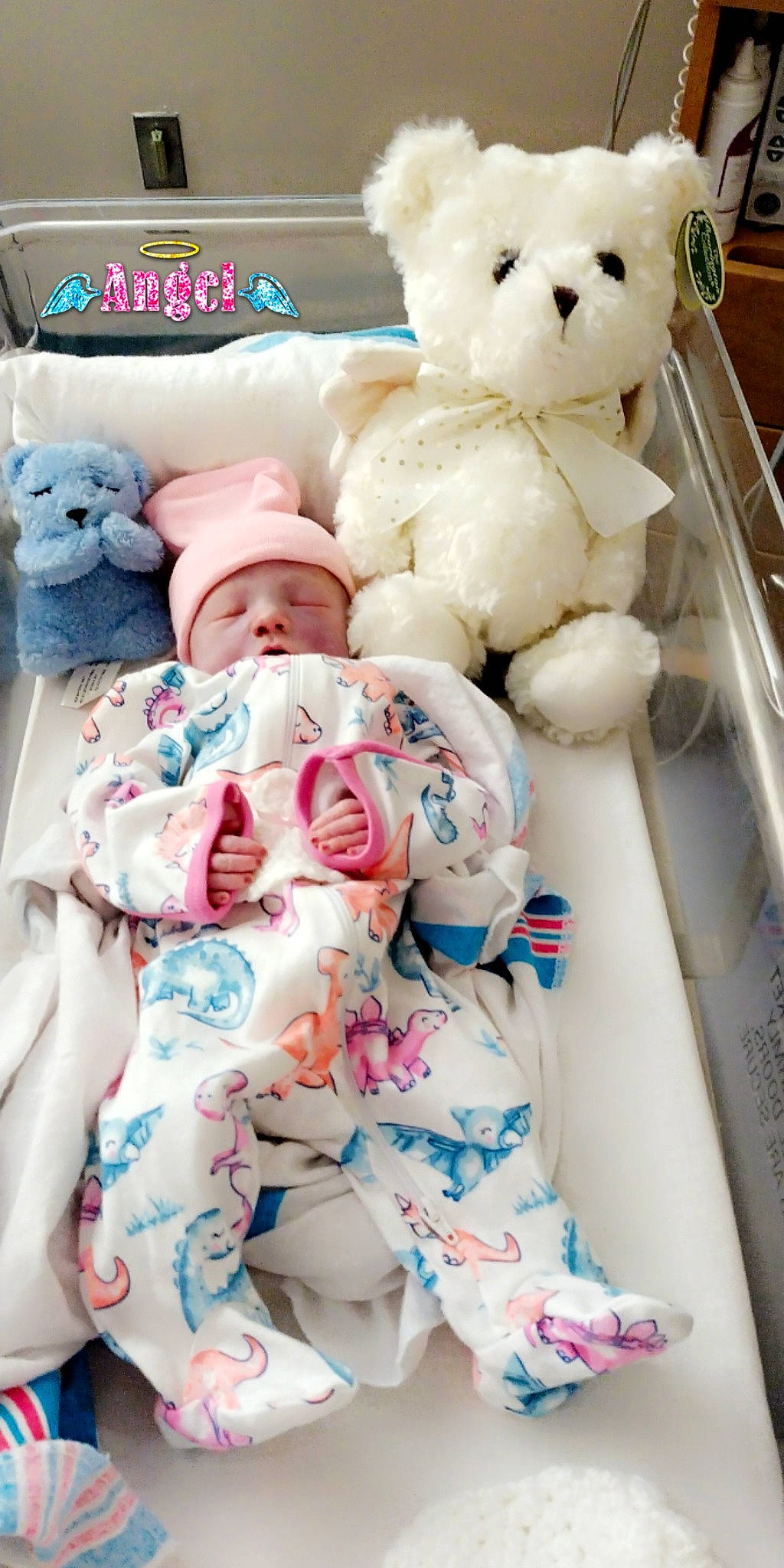 Angel joined the competition — help win amazing prizes! baby, baby_toddler_clothing, baby_toys, child, comfort, fur, headwear, linens, mammal, pattern, person, pink, plush, product, room, snapshot, stuffed_toy, teddy_bear, textile, toy