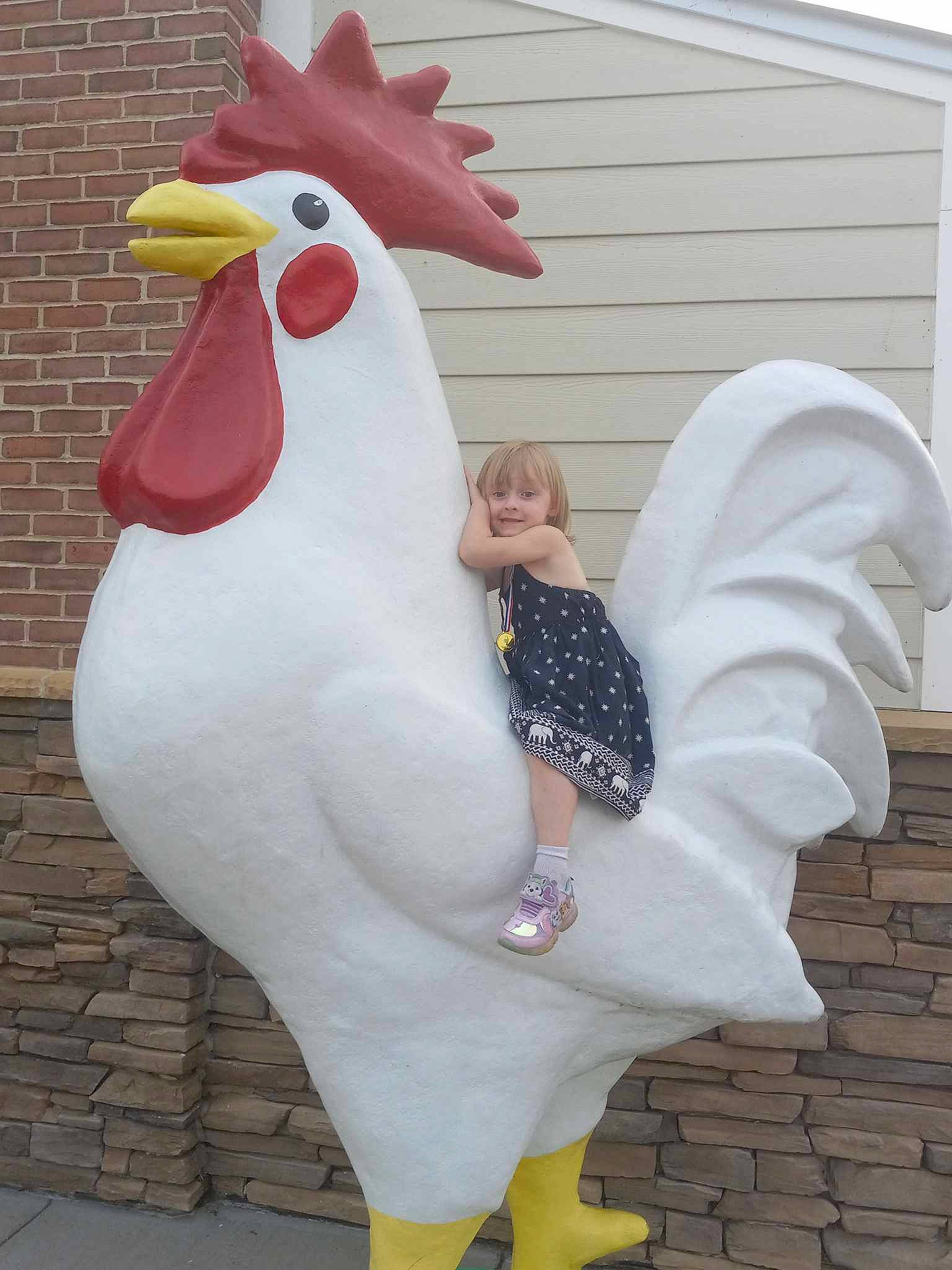 Amanda joined the competition — help win amazing prizes! art, beak, bird, carmine, chicken, comb, fashion_accessory, feather, fowl, galliformes, human_leg, joy, livestock, neck, pattern, person, phasianidae, pink, poultry, rooster