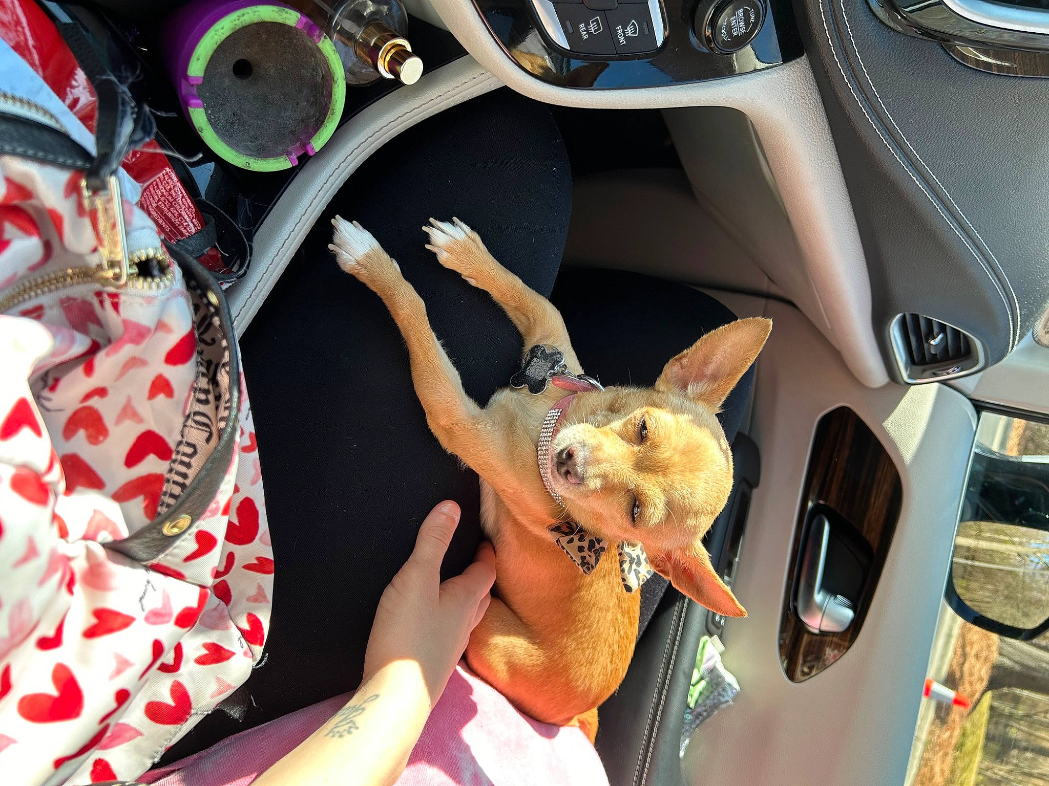 Royal Chardonnay is registered to the contest to win money with this photo: auto_part, automotive_design, automotive_exterior, car, eyewear, family_car, gauge, gesture, luxury_vehicle, motor_vehicle, nail, personal_luxury_car, speedometer, steering_wheel, sunglasses, toy, trunk, vehicle, vehicle_door, white