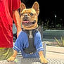 animal, blue_shirt, close_up, dog, french_bulldog, happy, harness, looking_away, metal_table, night, outdoor, paw, person, pet, plant, red_shirt, standing, streetlight, table, yellow_shorts