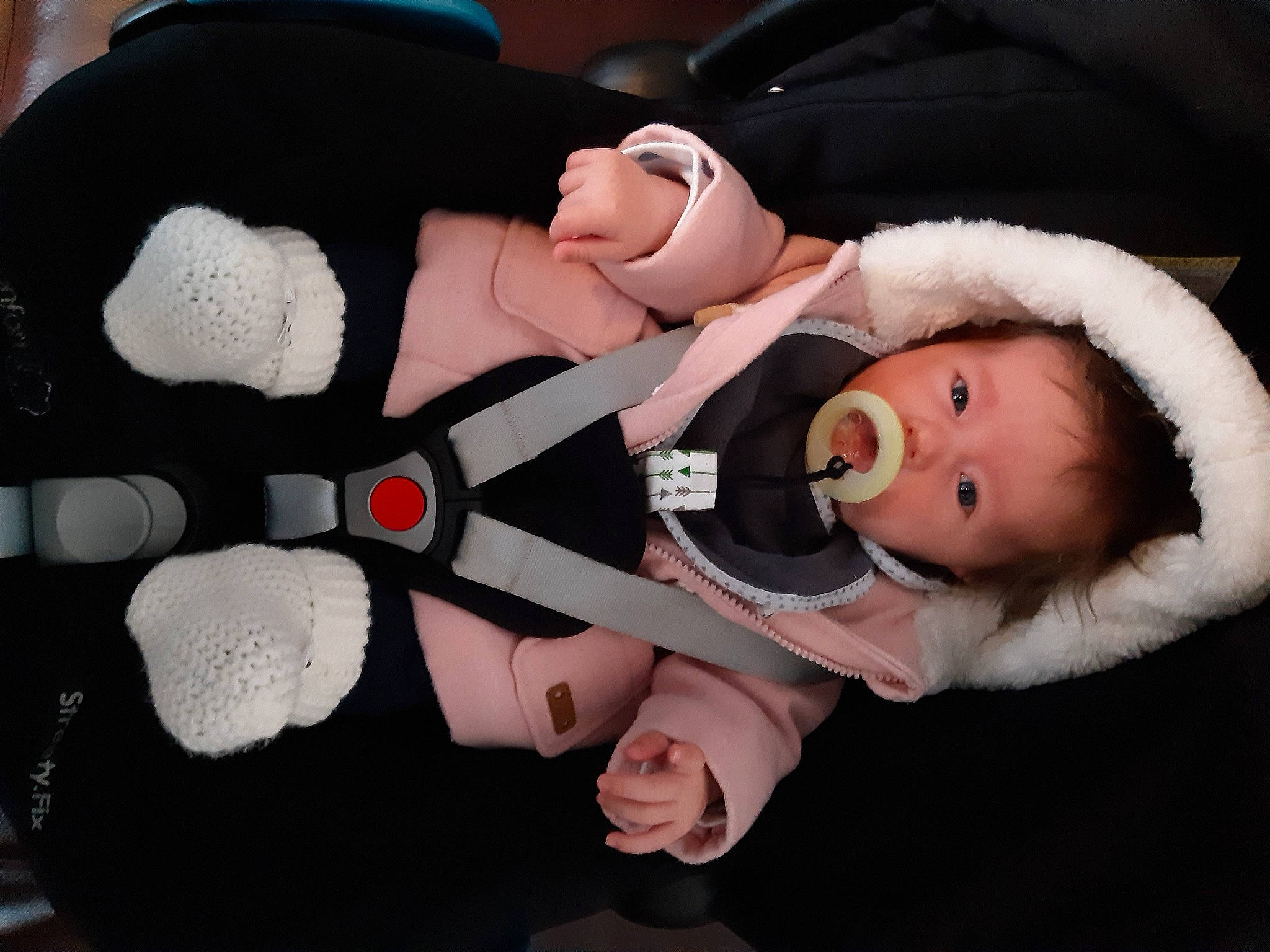 Elena participe au concours pour gagner de l'argent avec cette photo : baby, baby_products, child, comfort, costume, event, finger, fur, gesture, glove, human_body, lap, nail, person, plush, skin, stuffed_toy, textile, thumb, toy