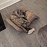 animal, cardboard, cat, cat_toy, collar, cozy, curled_up, floor, furniture, home, indoor, pet, playful, plush_mouse, purple_collar, relaxed, scratcher, sleeping, tortoiseshell_cat, wood_floor