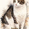animal, artistic, background, cat, cute, domestic_cat, ears, eyes, feline, fur, name_text, paint_splatter, painting, pet, portrait, sitting, soft_colors, spotty, watercolor, whiskers