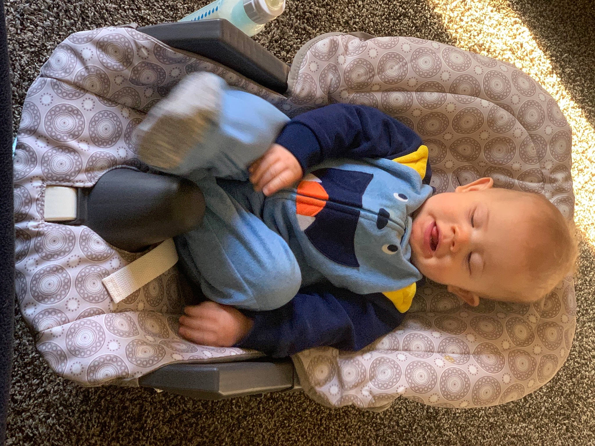Chandler is registered to the contest to win money with this photo: baby, baby_carriage, baby_products, baby_sleeping, baby_toddler_clothing, beanie, bedtime, cheek, child, comfort, face, flooring, grass, head, knit_cap, lap, nap, person, sitting, toddler