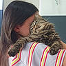 cat, tabby_cat, person, hug, cuddle, fur, indoor, striped_shirt, long_hair, shoulder, close_up, pet, affection, comfort, home, animal, mammal, cute, feline, companionship