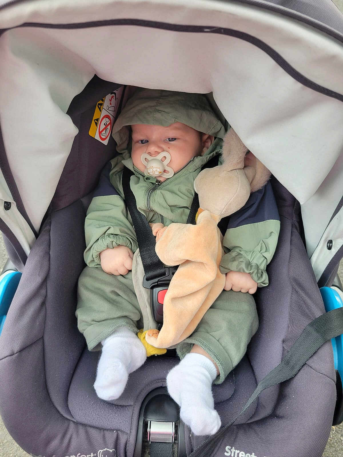Liam a rejoint le concours — aidez-le/la à gagner de superbes lots ! baby, stroller, pacifier, plush_toy, green_jacket, white_socks, infant, child, seatbelt, car_seat, hood, cute, outdoor, person, small_hands, soft_toy, comfort, resting, casual_clothing, infant_care