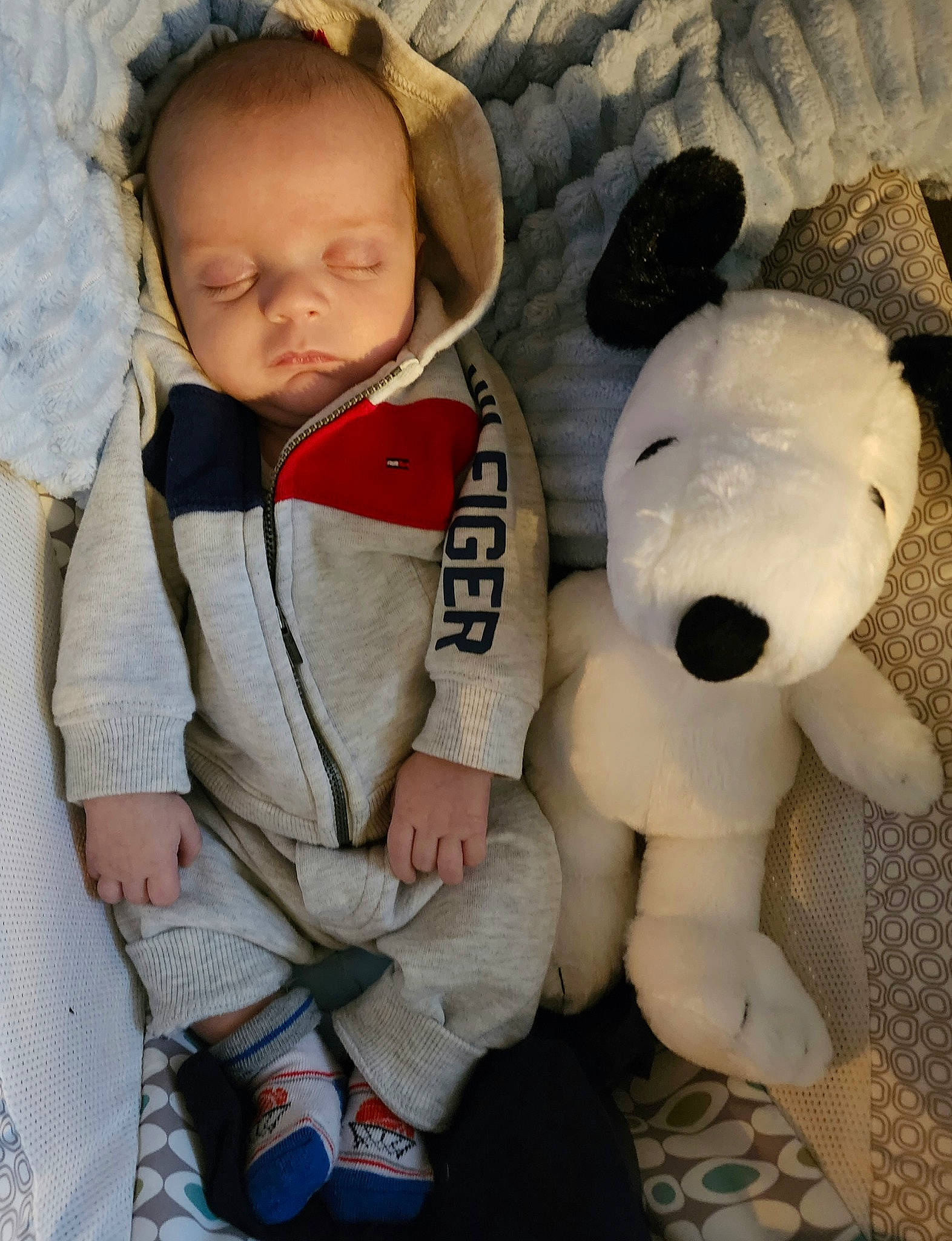 Joseph joined the competition — help win amazing prizes! baby, baby_products, baby_sleeping, baby_toddler_clothing, carmine, comfort, fur, happy, head, linens, mammal, nose, person, plush, sitting, sleeve, stuffed_toy, textile, toddler, toy