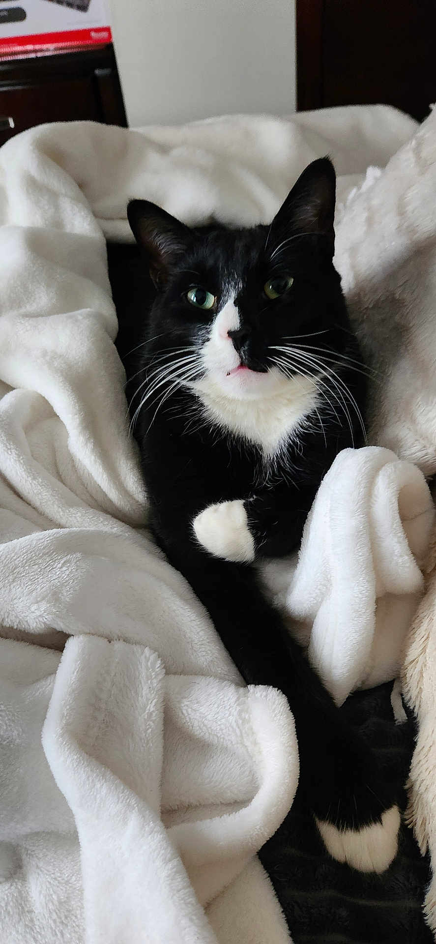 Salem