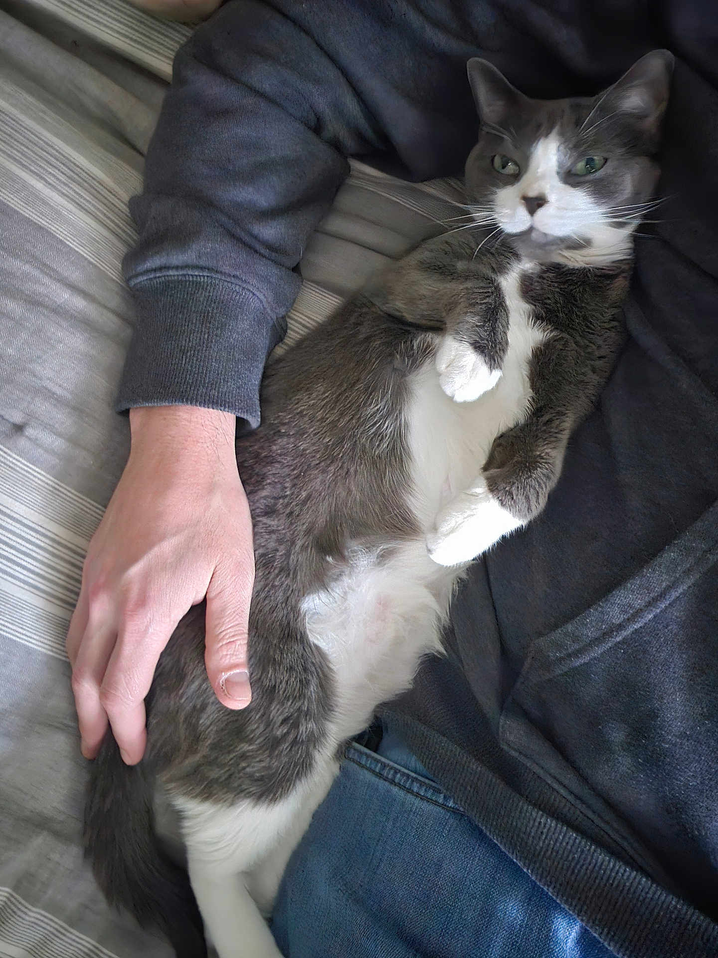 Squeaky