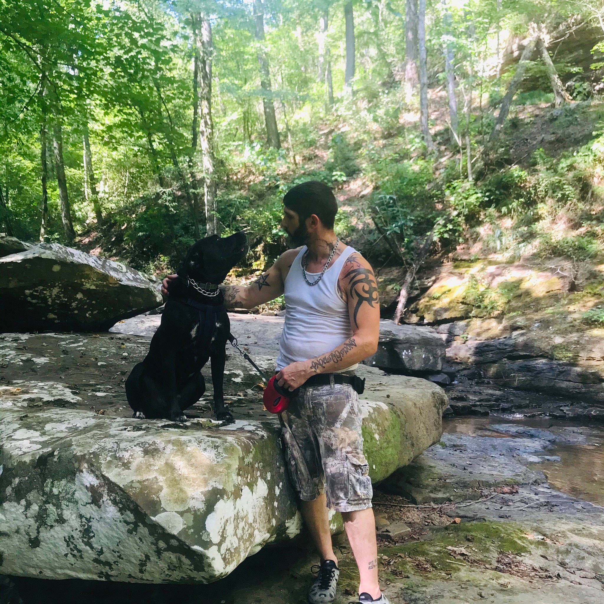 Benjamin joined the competition — help win amazing prizes! adventure, arroyo, bedrock, boulder, carnivore, creek, dog, dog_hiking, forest, human, jungle, natural_environment, northern_hardwood_forest, old_growth_forest, rainforest, rock, stream, wilderness, woodland, youth