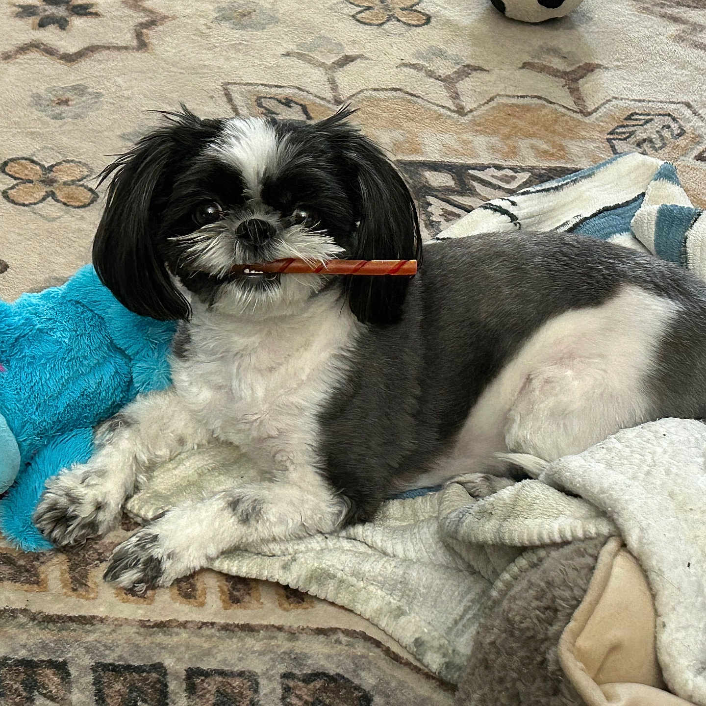 Oreo