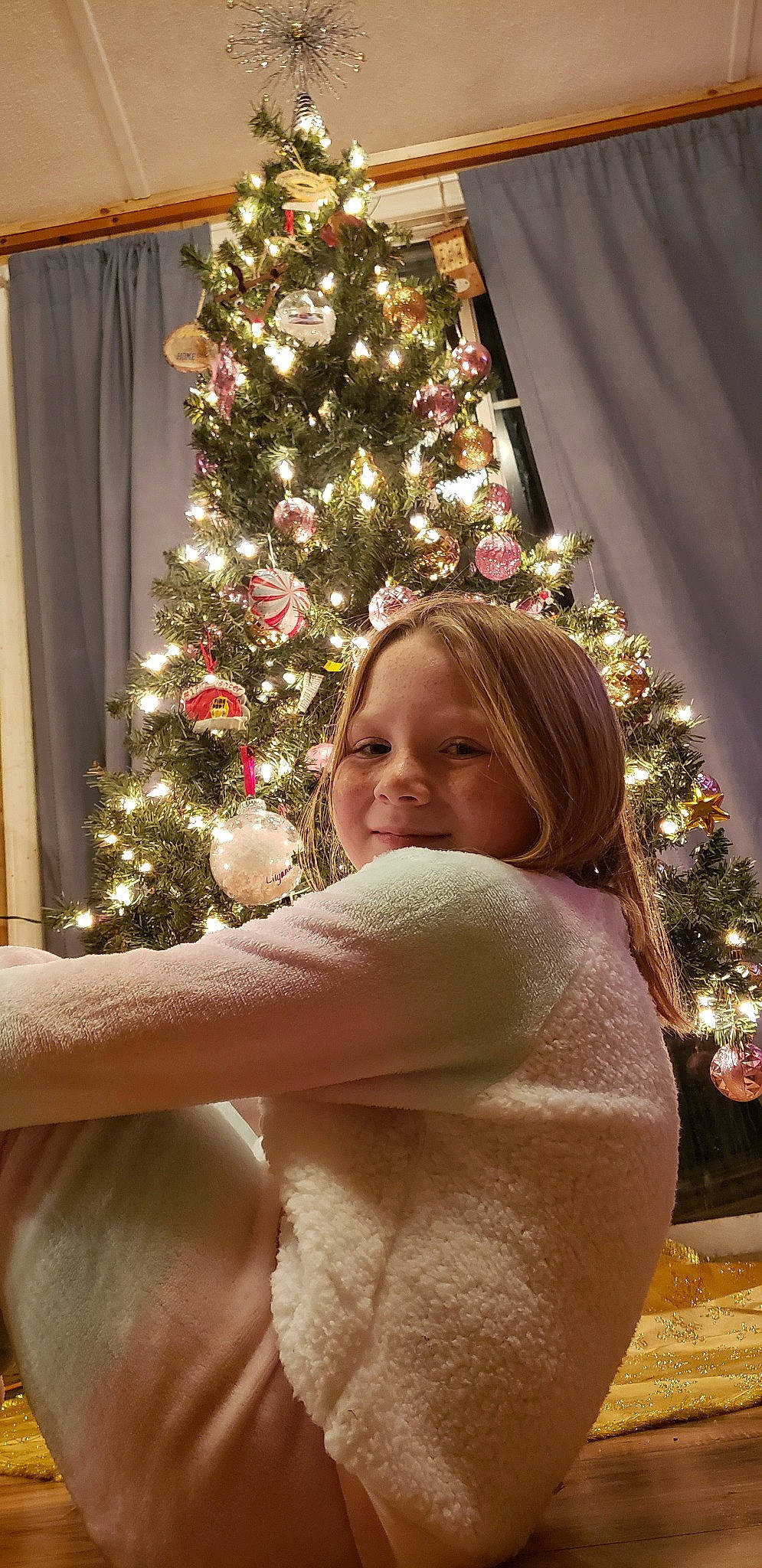 Bella is registered to the contest to win money with this photo: christmas, christmas_decoration, christmas_eve, christmas_lights, christmas_ornament, christmas_tree, holiday, interior_design, person, plant, tree