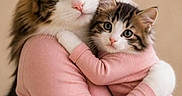 Orki a rejoint le concours — aidez-le/la à gagner de superbes lots ! adorable, animal_clothing, brown_background, cat, closeup, cute, domestic_cat, feline, fur, hugging, indoor, kitten, looking_at_camera, pair, pet, pink_sweater, portrait, social_media, text_overlay, whiskers
