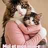 adorable, animal_clothing, brown_background, cat, closeup, cute, domestic_cat, feline, fur, hugging, indoor, kitten, looking_at_camera, pair, pet, pink_sweater, portrait, social_media, text_overlay, whiskers