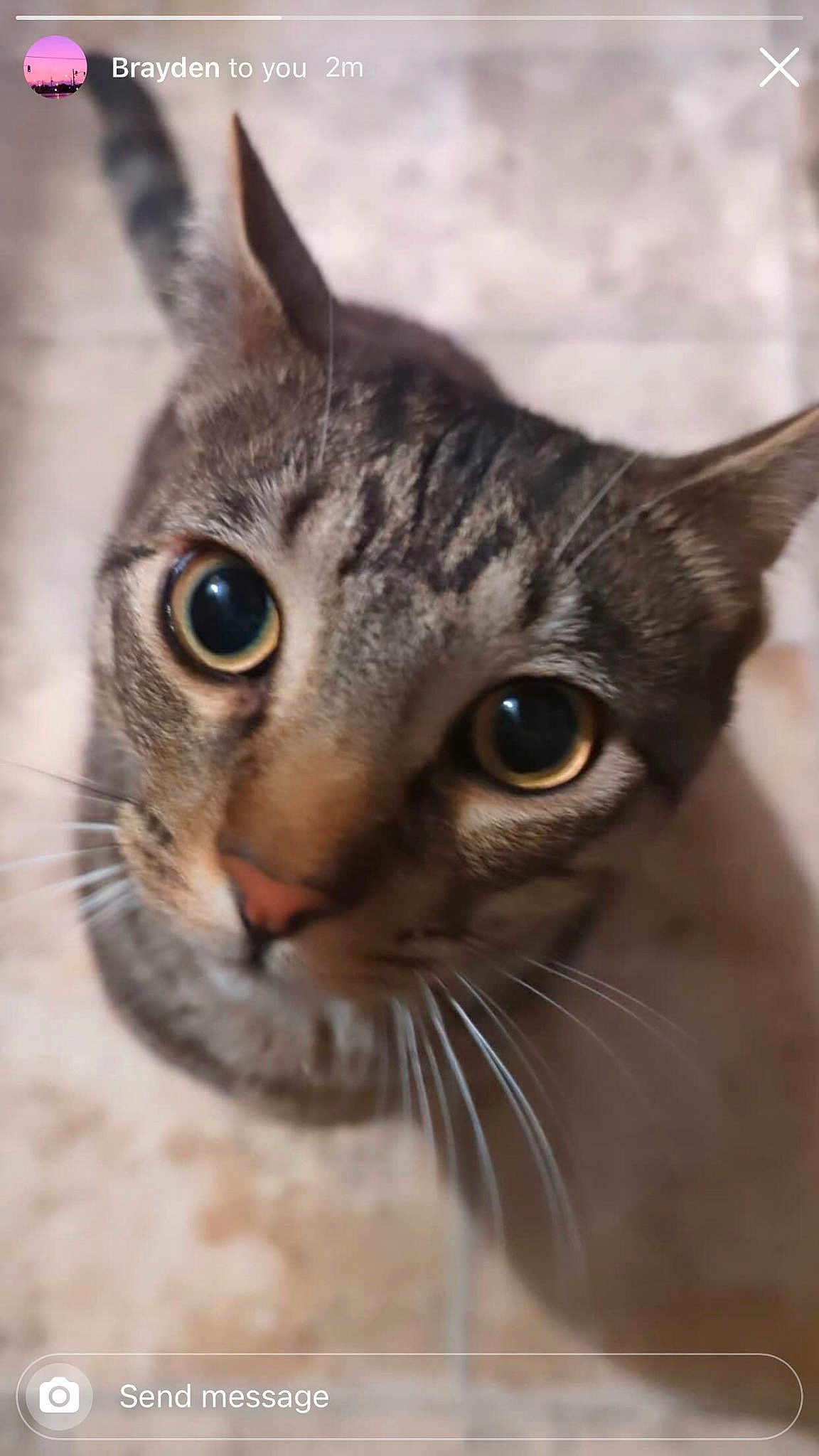 Tucky