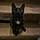 Binx