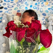 Mirza joined the competition — help win amazing prizes! baby, sleeping, roses, flowers, bouquet, plastic_wrap, blurred_background, patterned_background, red_roses, infant, closeup, soft_focus, colorful, indoor, portrait, floral, cute, resting, toddler, decor