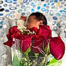 baby, sleeping, roses, flowers, bouquet, plastic_wrap, blurred_background, patterned_background, red_roses, infant, closeup, soft_focus, colorful, indoor, portrait, floral, cute, resting, toddler, decor