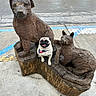animal_sculpture, art, brown, carved_wood, concrete, cute, dog, happy, outdoor, parking_lot, pet, public_art, pug, sidewalk, small_dog, statue, three_animals, tongue_out, urban, wooden_sculpture