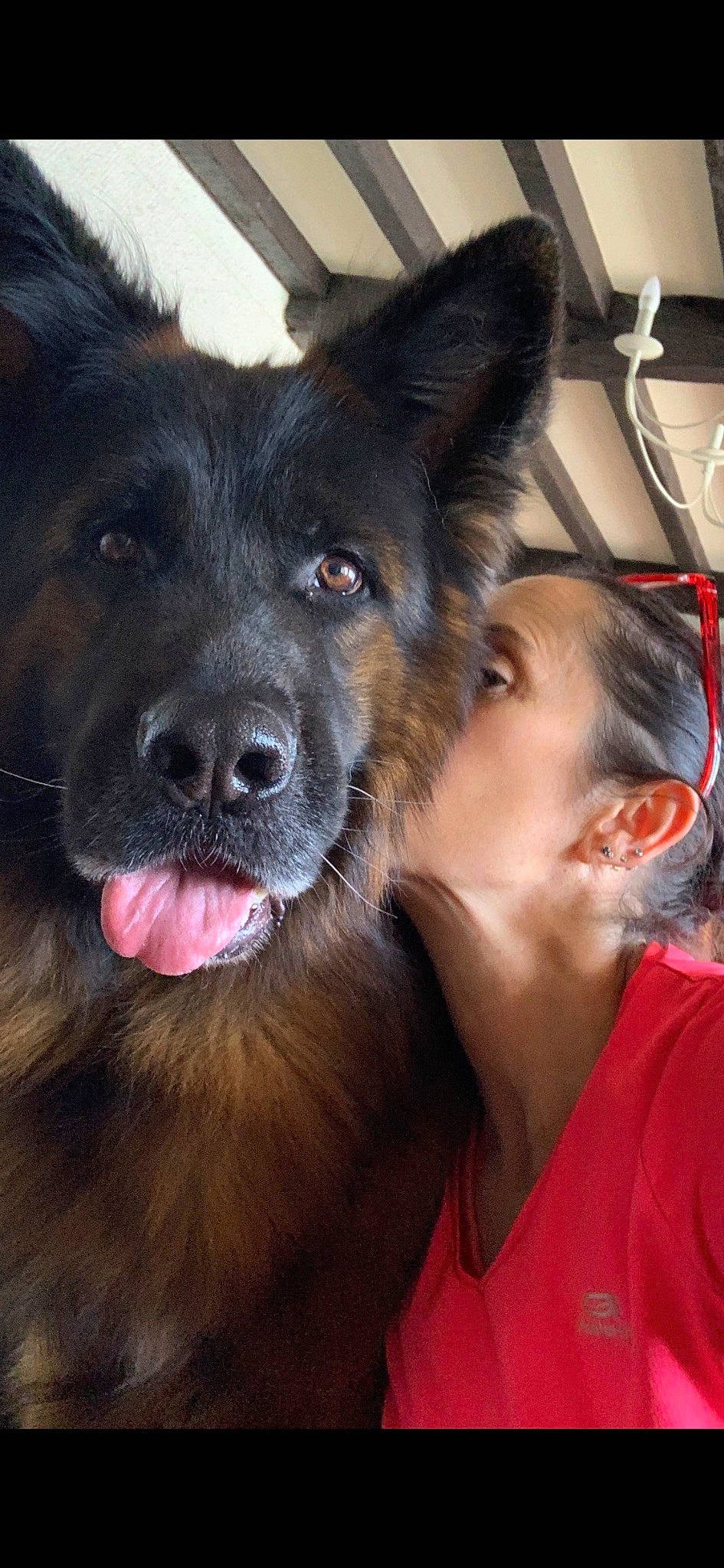 Newton participe au concours pour gagner de l'argent avec cette photo : canidae, carnivore, companion_dog, dog, dog_breed, dog_collar, ear, event, eye, fur, gesture, guard_dog, happy, kitchen_utensil, snout, sporting_group, t_shirt, whiskers, working_animal, working_dog