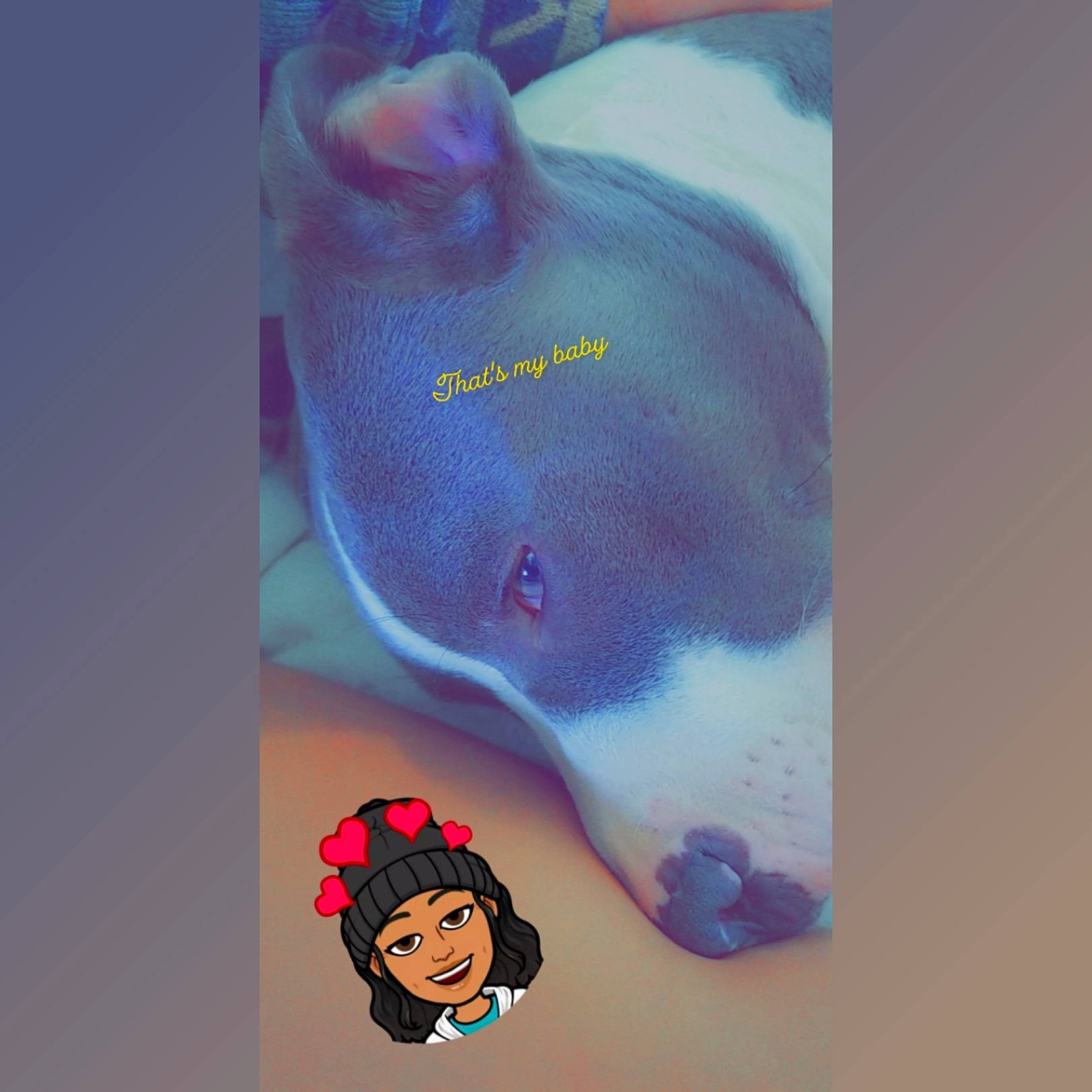 Luna Jean is registered to the contest to win money with this photo: dolphin, fictional_character, illustration, manatee, marine_mammal