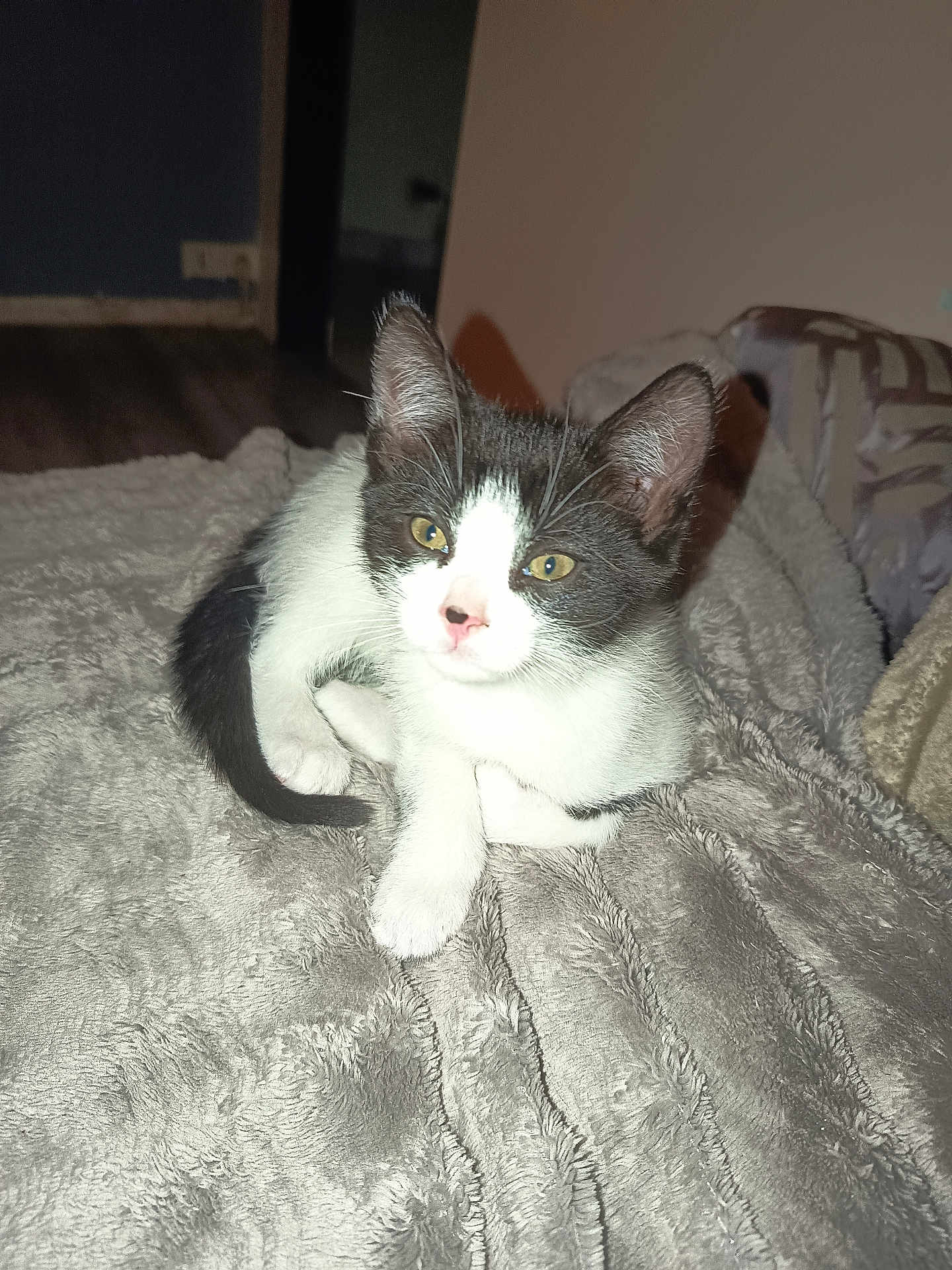 Simba