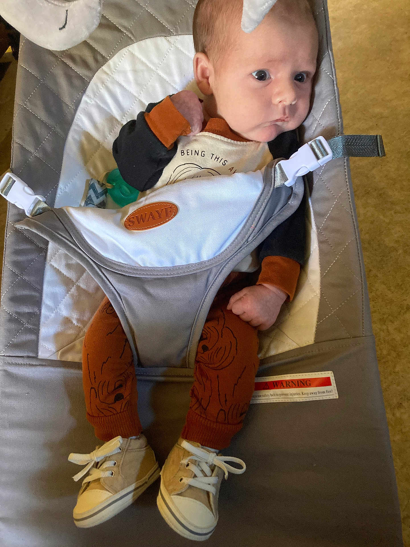 Carter Lee is registered to the contest to win money with this photo: baby, infant, baby_bouncer, clothing, sneakers, pants, face, person, indoor, straps, seat, footwear, cute, child, young, expression, looking_away, fabric, toy, comfort
